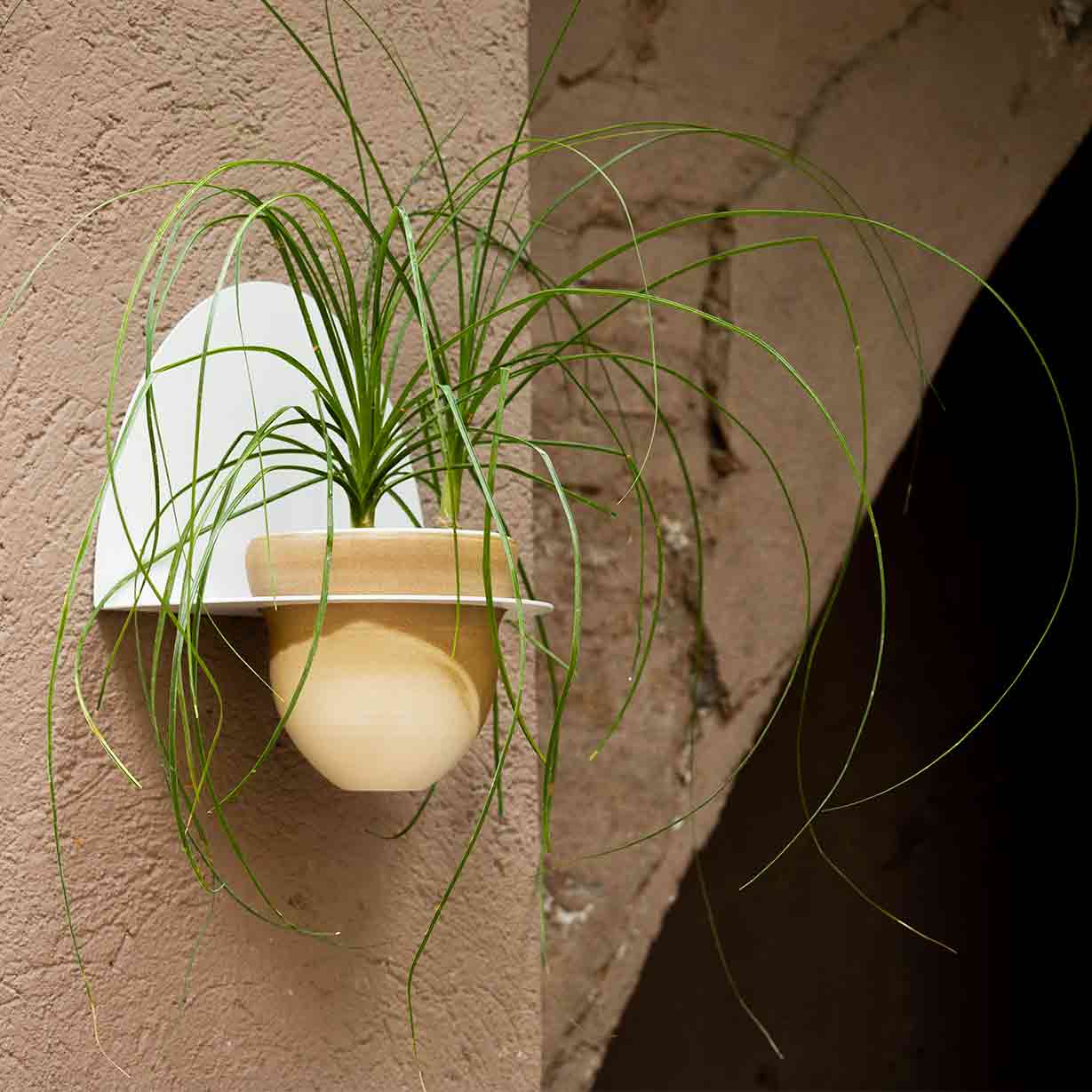 Pack Maceta Cielo + Macetero Andalucía