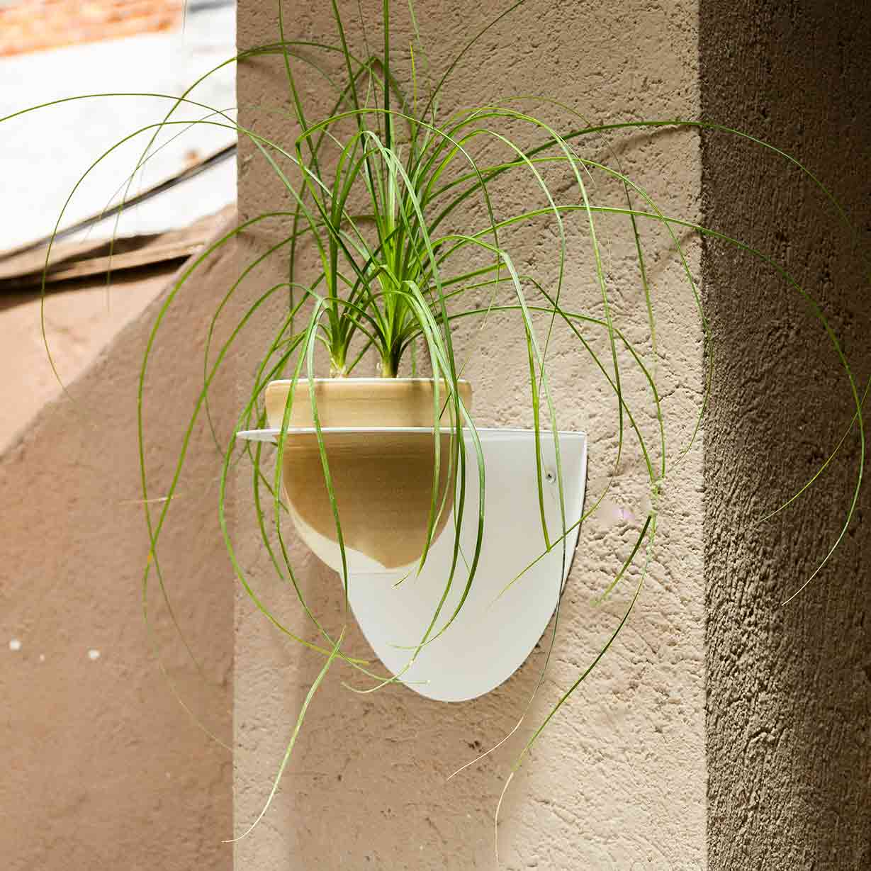 Pack Maceta Cielo + Macetero Andalucía