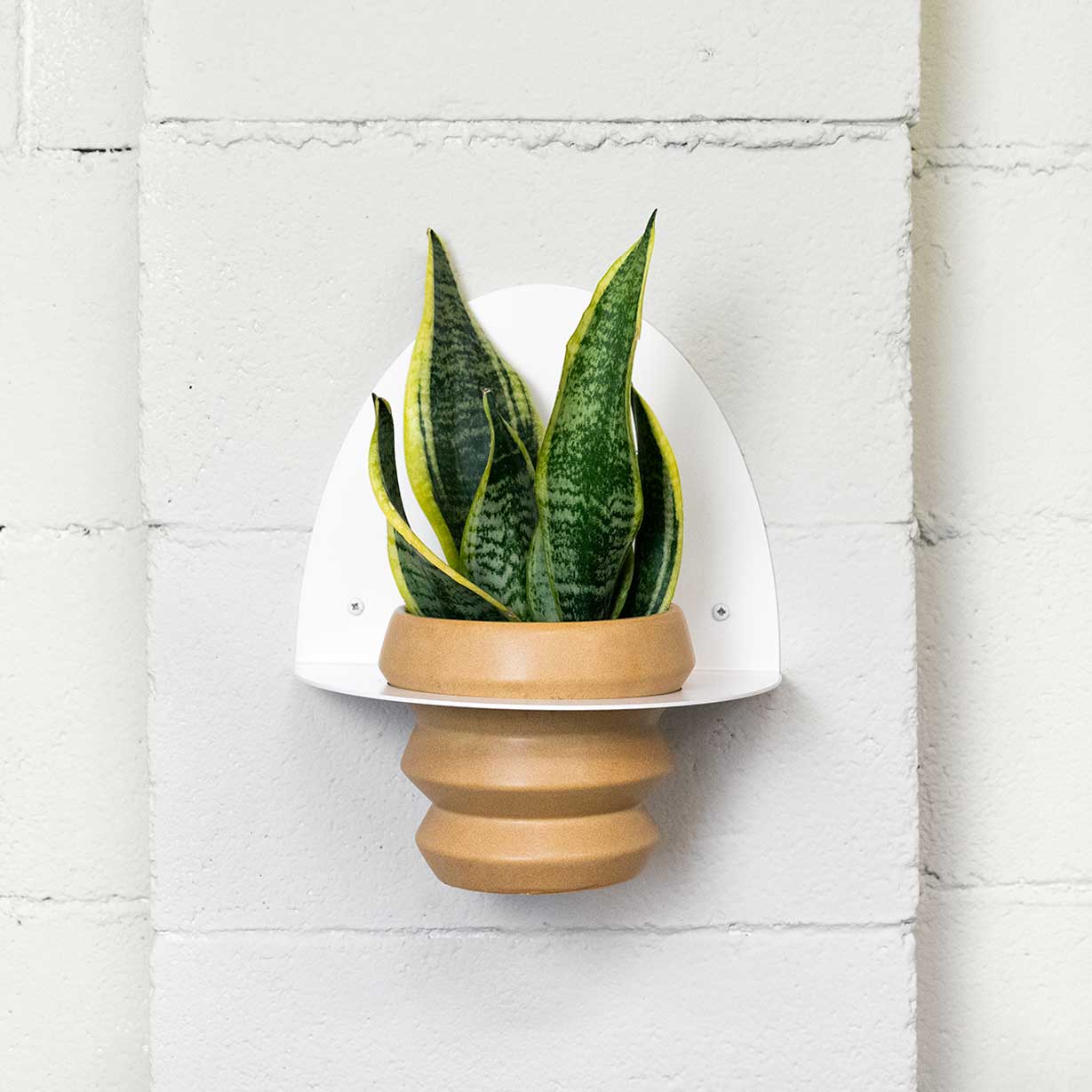 Macetero Metálico Para Pared Andalucía Ø14