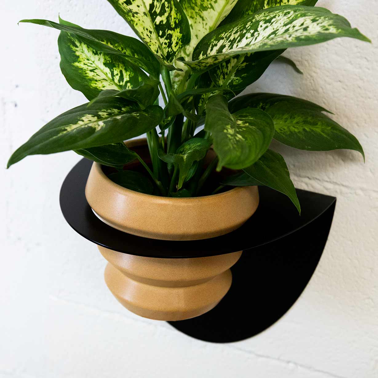 Macetero Metálico Para Pared Andalucía Ø14