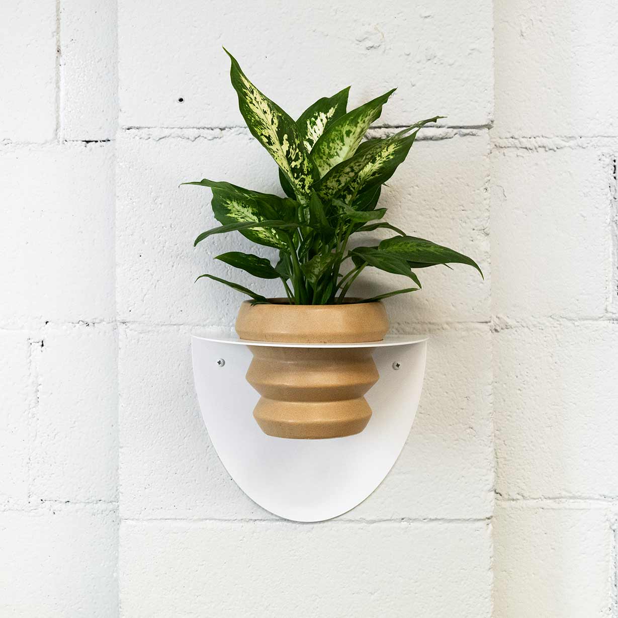 Macetero Metálico Para Pared Andalucía Ø14