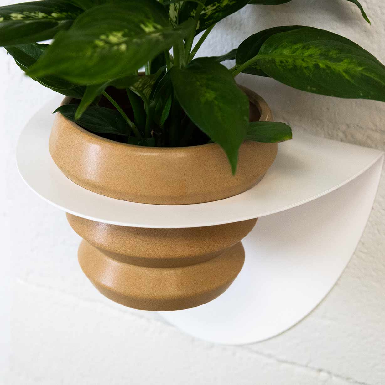 Macetero Metálico Para Pared Andalucía Ø14