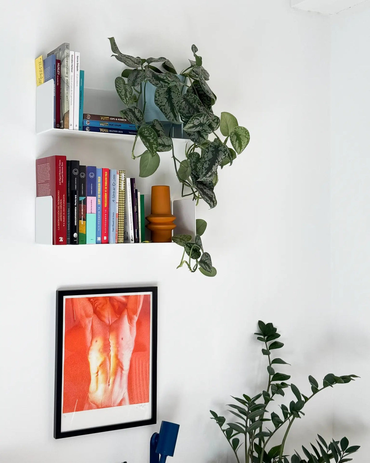 white floating shelves on wall with books and green hanging plant in modern decor
