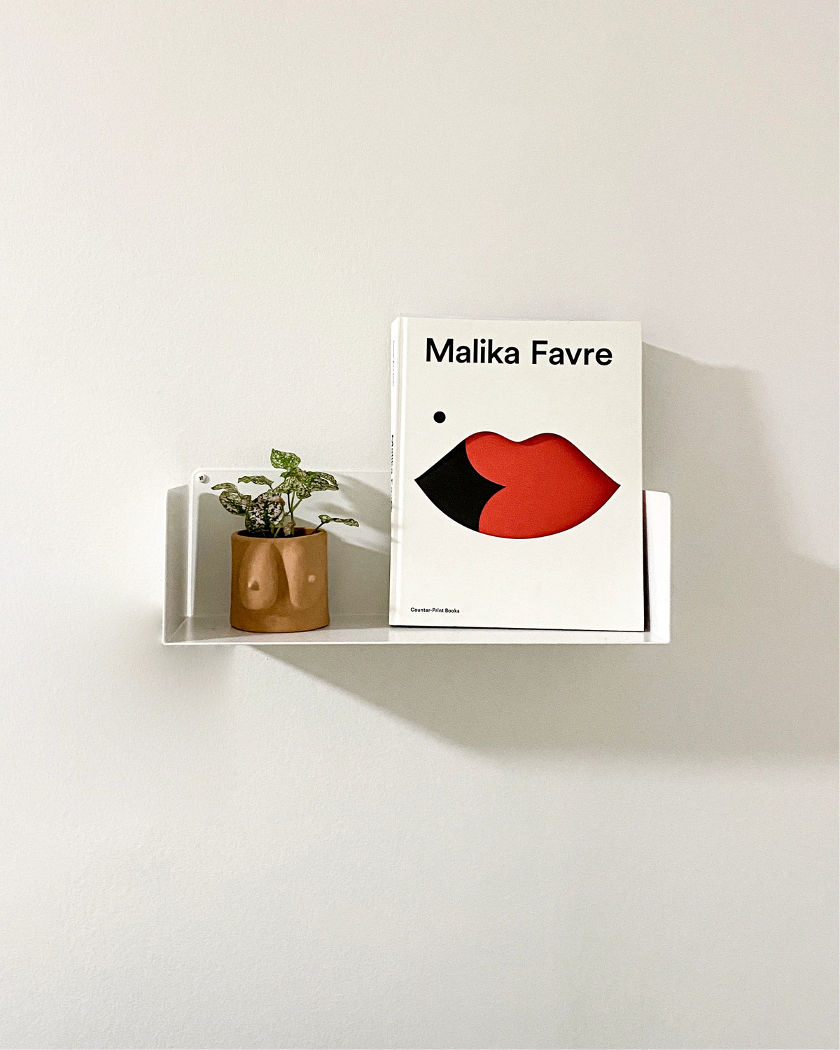 White wall-mounted book shelf, sturdy steel, functional and elegant with plant and vase