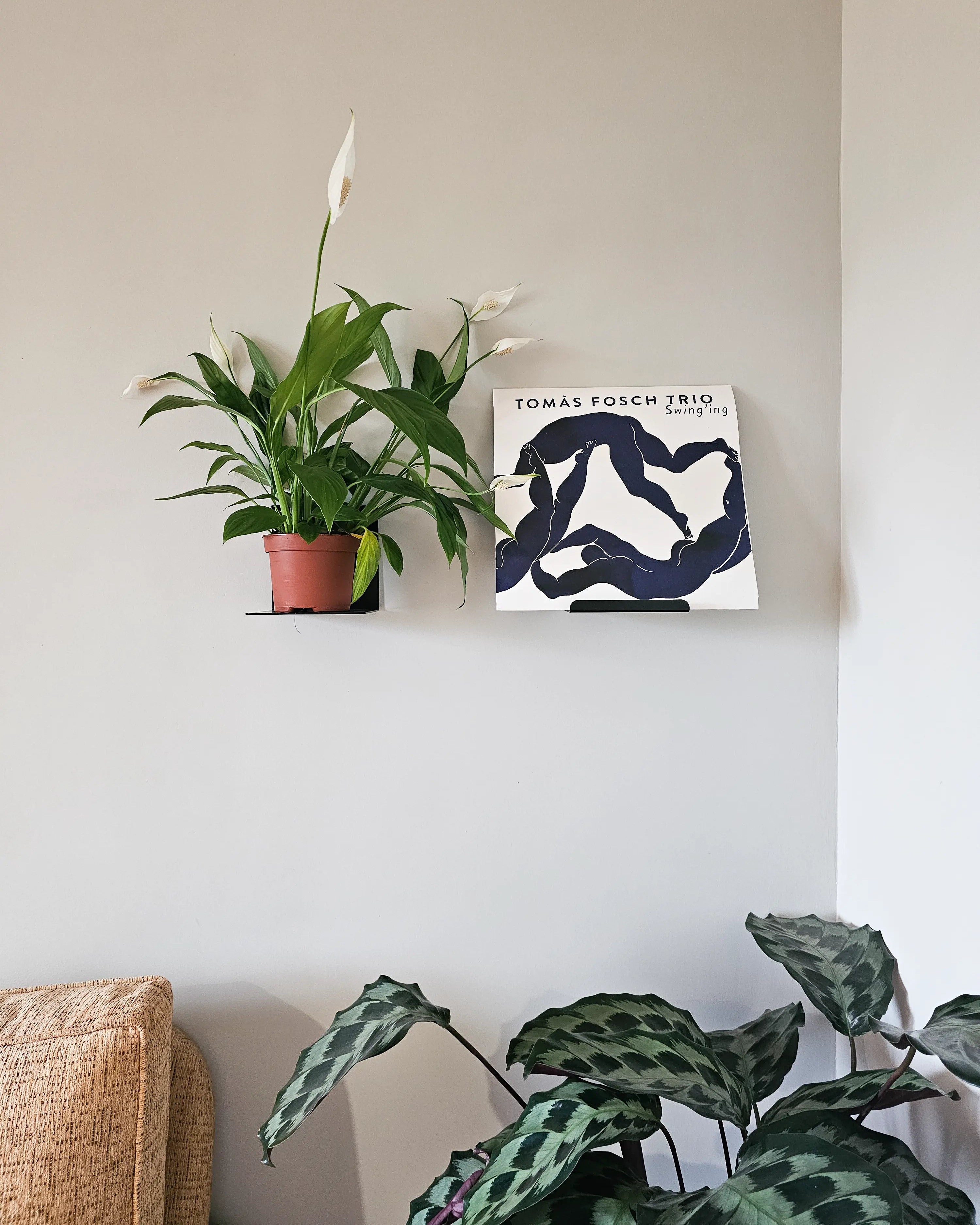 Estante metálico estrecho negro, flotante pared, vinilo y planta, 14cm